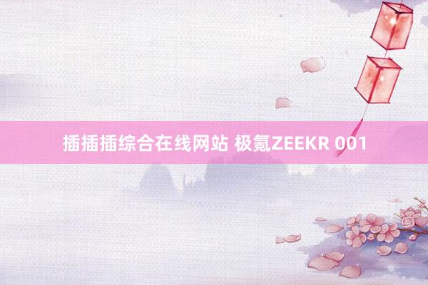 插插插综合在线网站 极氪ZEEKR 001