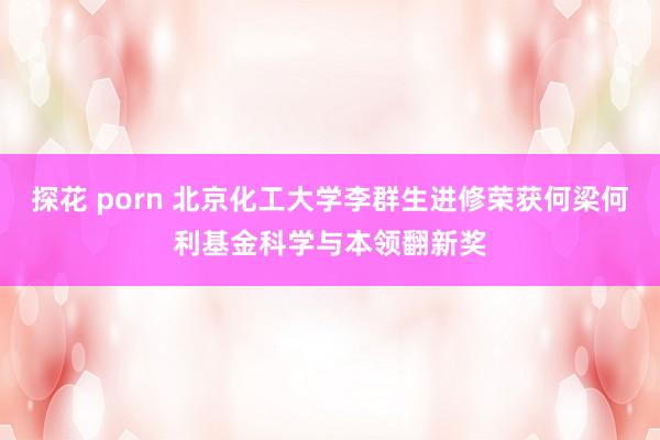 探花 porn 北京化工大学李群生进修荣获何梁何利基金科学与本领翻新奖
