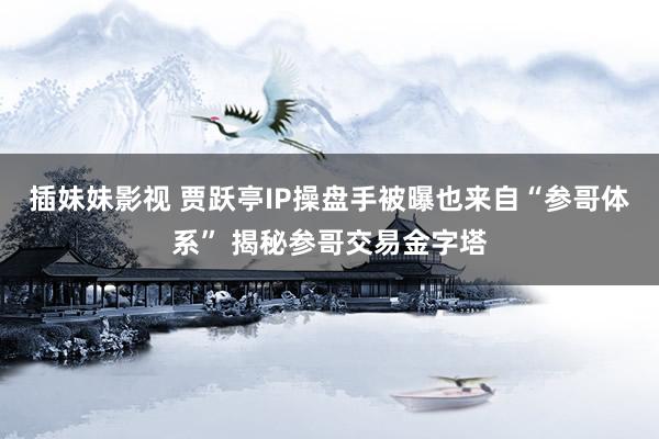 插妹妹影视 贾跃亭IP操盘手被曝也来自“参哥体系” 揭秘参哥交易金字塔