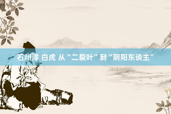 石川澪 白虎 从“二裂叶”到“阴阳东谈主”