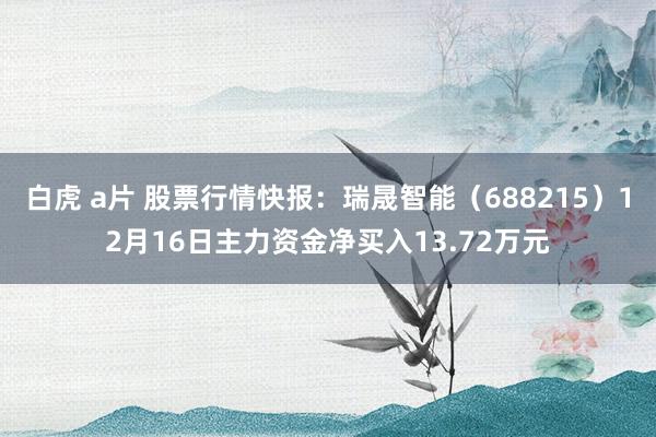 白虎 a片 股票行情快报：瑞晟智能（688215）12月16日主力资金净买入13.72万元