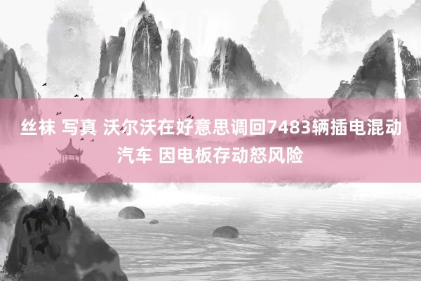 丝袜 写真 沃尔沃在好意思调回7483辆插电混动汽车 因电板存动怒风险
