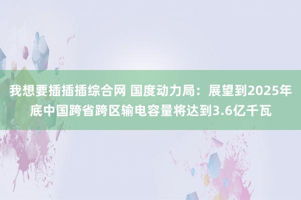 我想要插插插综合网 国度动力局：展望到2025年底中国跨省跨区输电容量将达到3.6亿千瓦