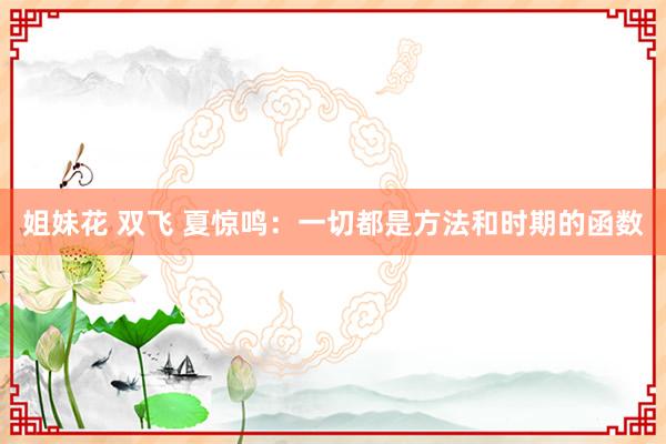 姐妹花 双飞 夏惊鸣：一切都是方法和时期的函数