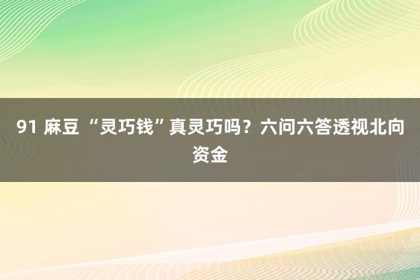 91 麻豆 “灵巧钱”真灵巧吗？六问六答透视北向资金