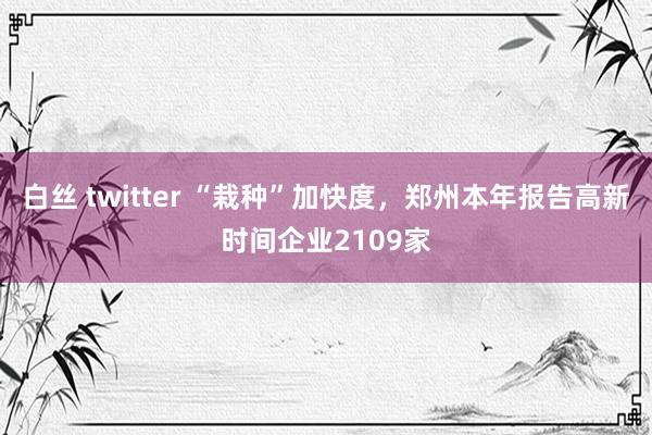 白丝 twitter “栽种”加快度，郑州本年报告高新时间企业2109家