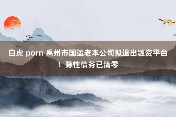 白虎 porn 禹州市国运老本公司拟退出融资平台！隐性债务已清零
