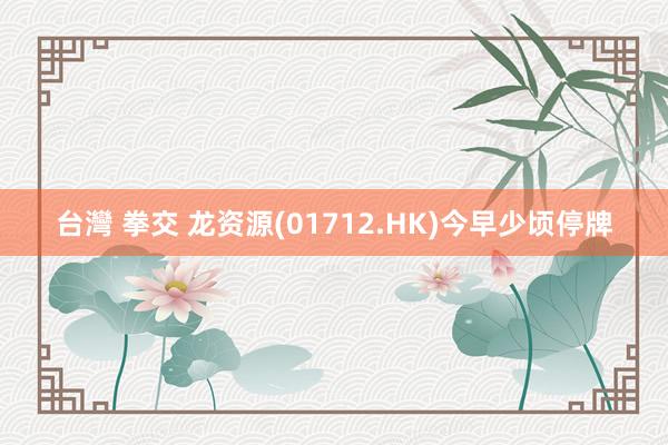 台灣 拳交 龙资源(01712.HK)今早少顷停牌